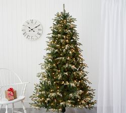Lit Flocked Grand Teton Faux Christmas Tree