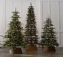Tree Classics Oregonian Slim Christmas Tree by Balsam Hill