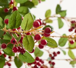 Faux Cluster Berry and Leaves Bundle