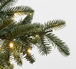 Tree Classics Burke Spruce Christmas Tree by Balsam Hill