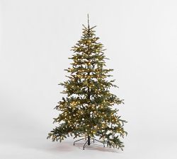 Tree Classics Burke Spruce Christmas Tree by Balsam Hill