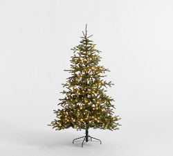 Tree Classics Burke Spruce Christmas Tree by Balsam Hill