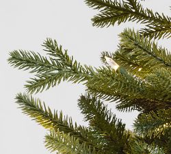 Tree Classics Alberta Spruce Christmas Tree by Balsam Hill