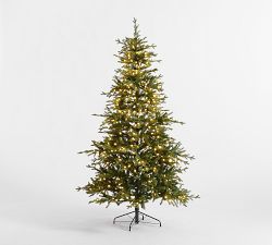 Tree Classics Alberta Spruce Christmas Tree by Balsam Hill