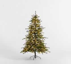 Tree Classics Alberta Spruce Christmas Tree by Balsam Hill