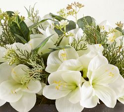 Faux Composed Amaryllis
