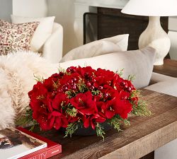 Faux Composed Amaryllis