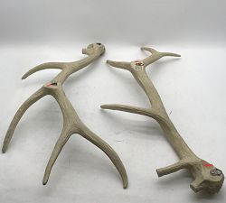 Open Box: Faux Antler Dimensional Wall Art