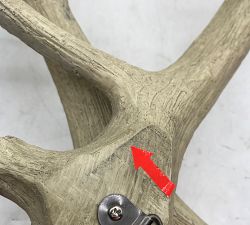 Open Box: Faux Antler Dimensional Wall Art