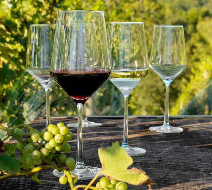 ZWIESEL GLAS Pure Red Wine Glasses Set of 6