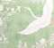 Green Multi