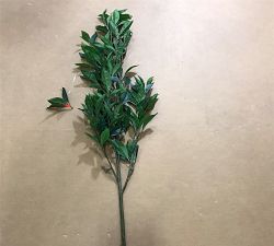 Open Box: Faux Green Bay Leaf Branch