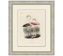 Coastline Birds Framed Print