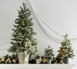 Lit Potted Faux Blue Spruce Trees