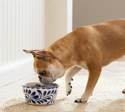 Puebla Pet Bowl