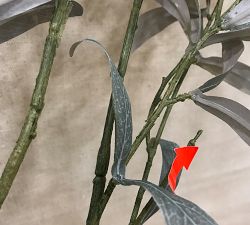 Open Box: Faux Fading Olive Branch (48") - Green