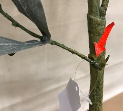 Open Box: Faux Fading Olive Branch (48") - Green