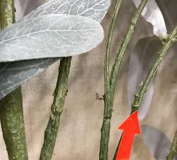 Open Box: Faux Fading Olive Branch (48") - Green