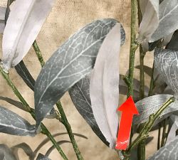 Open Box: Faux Fading Olive Branch (48") - Green