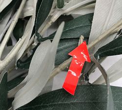 Open Box: Faux Olive Bundle