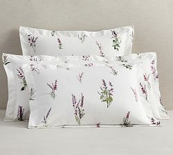 Monique Lhuillier Provence Sham