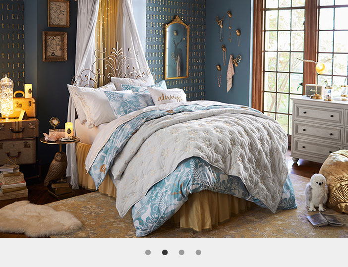 Harry Potter Pottery Barn