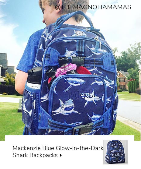 pottery barn shark backpack