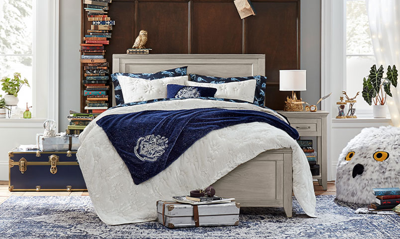 Harry Potter | Pottery Barn