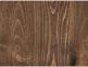 Auburn Poplar Auburn Poplar