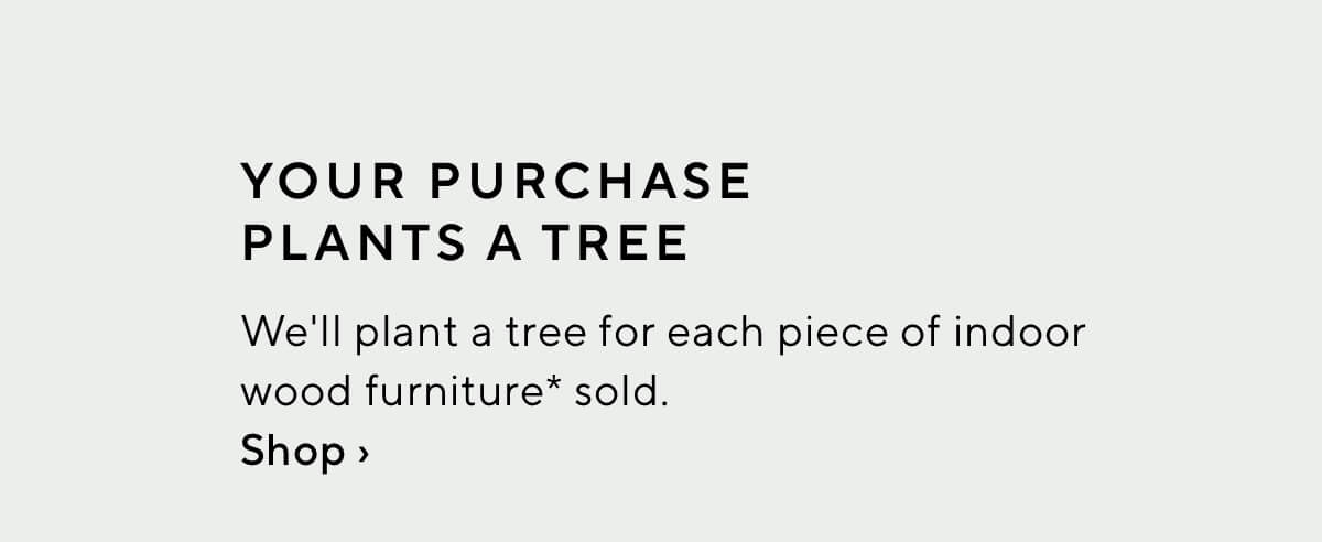Your Purchase Plants A Tree