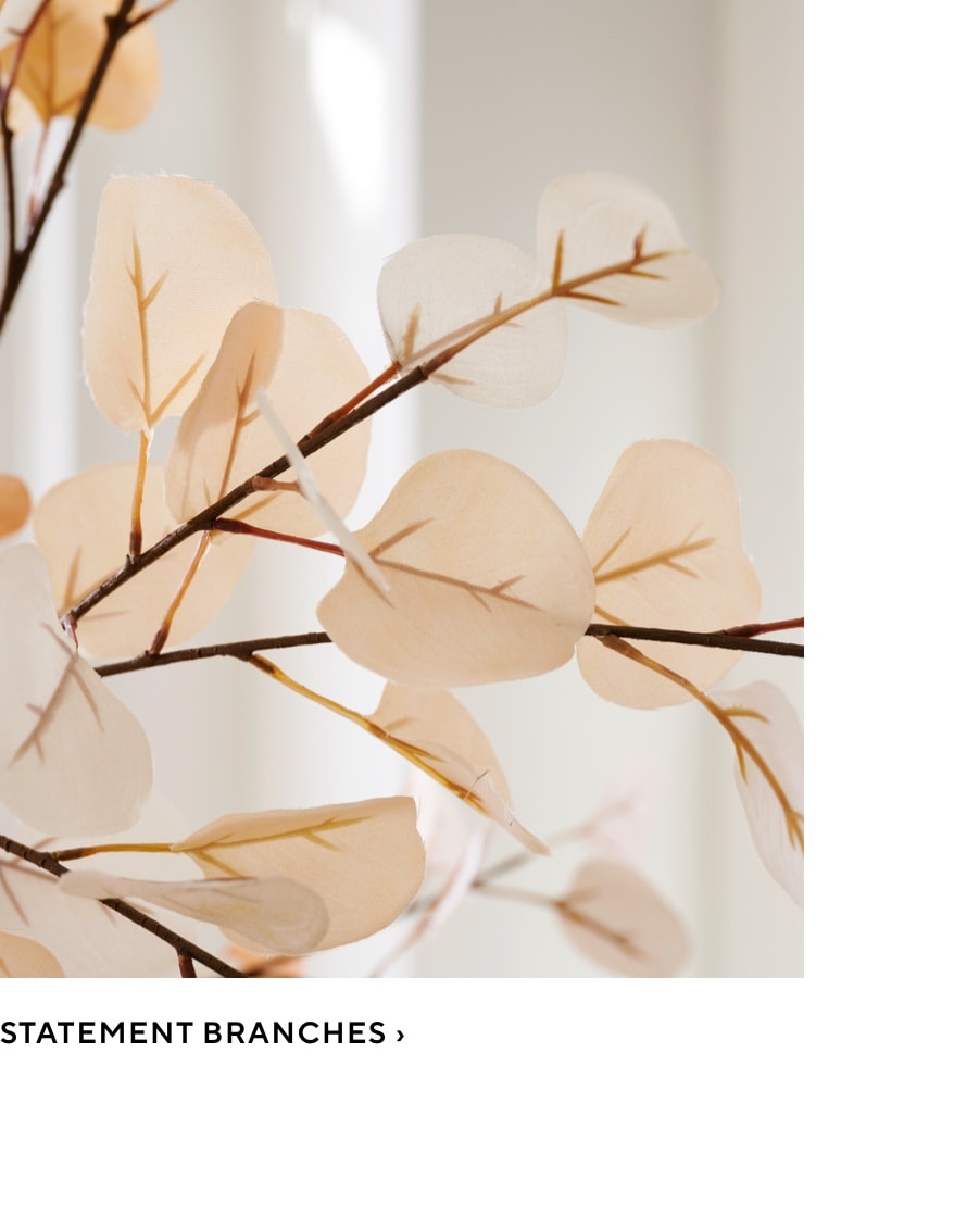 Statement Branches