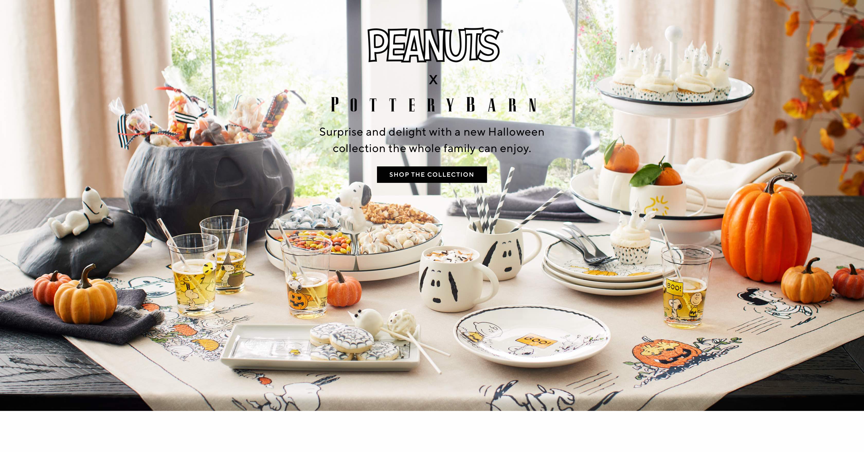 Peanuts x Pottery Barn