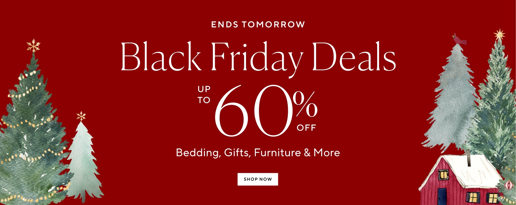 Black Friday: Up to 60% Off