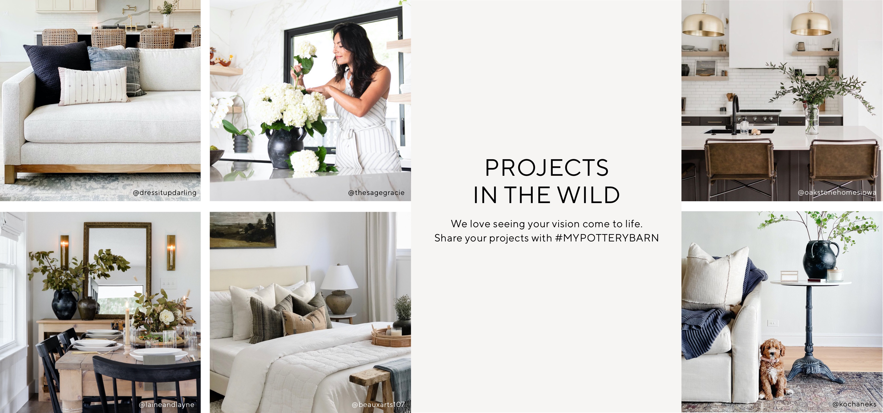 PROJECTS IN THE WILD PROJECTS IN THE WILD
