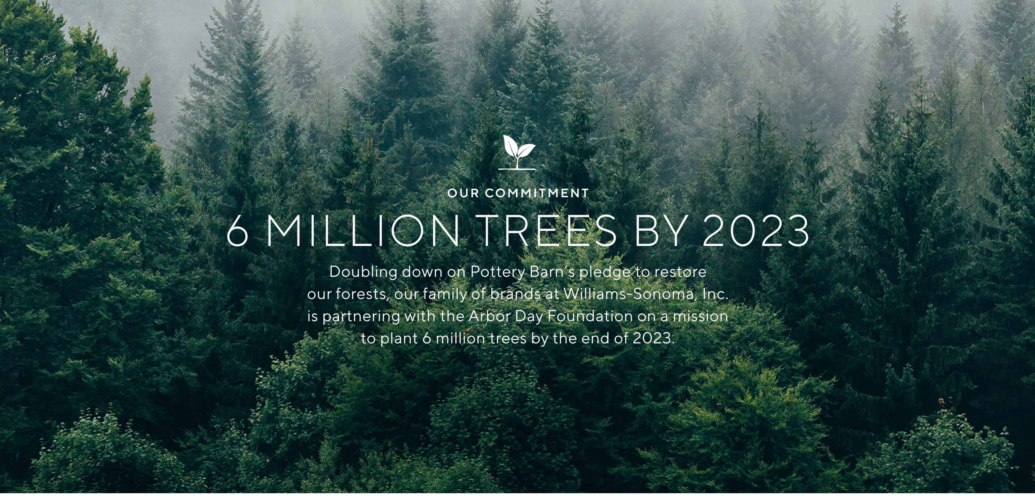 6 Million Tress by 2023 > Doubling down on Pottery Barn's pledge to restore our forests, our family of brands at Williams-Sonoma, Inc. is partnering with the Arbor Day Foundation on a mission to plant 6 million trees by the end of 2023.