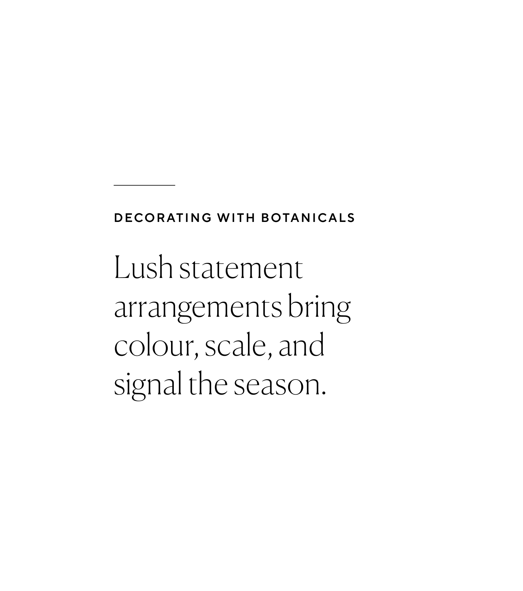 Decorating with Botanicals