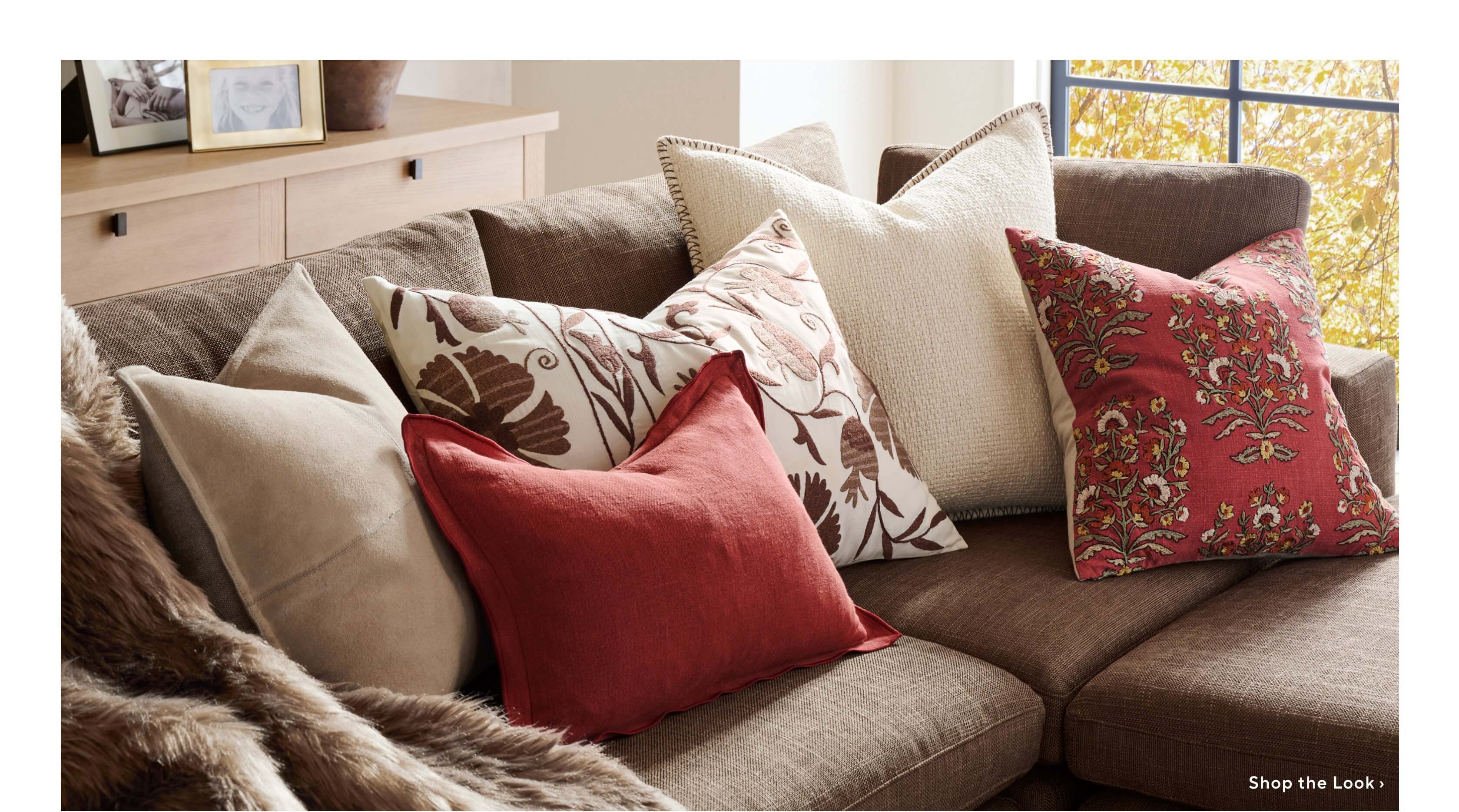 Shop Bold Red Pillows