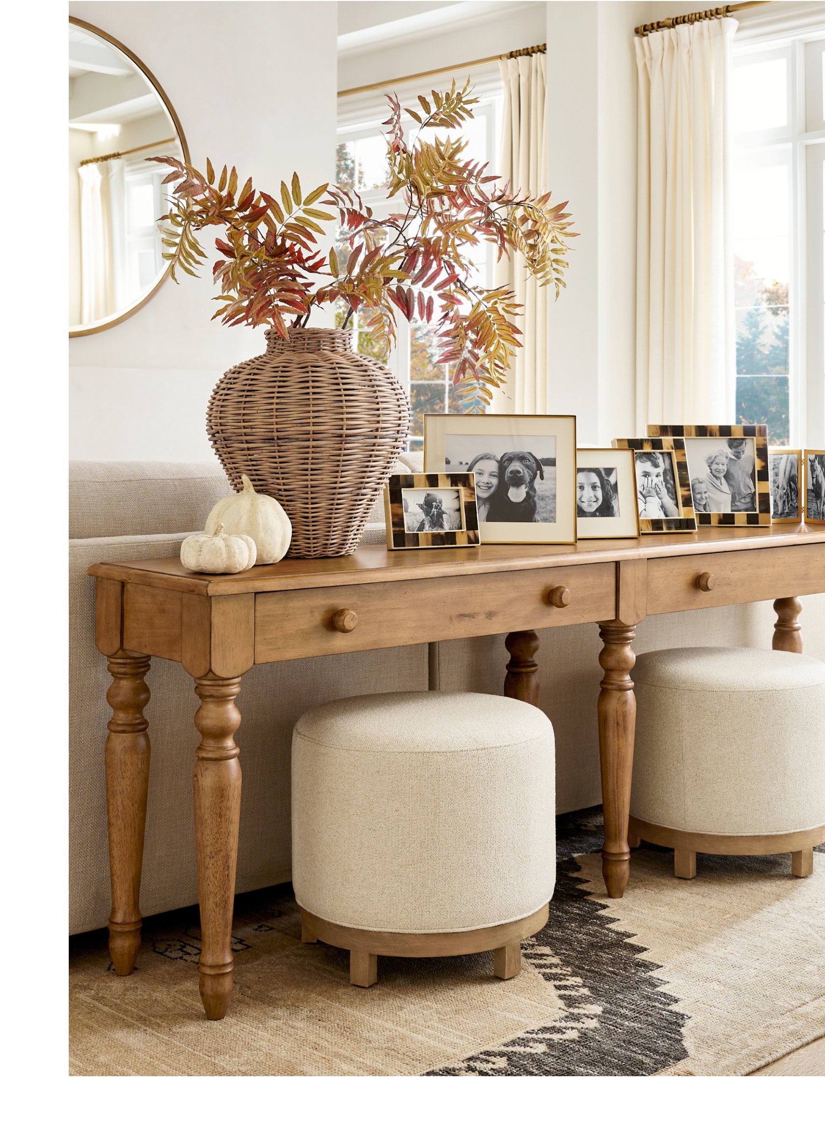 Shop Decor