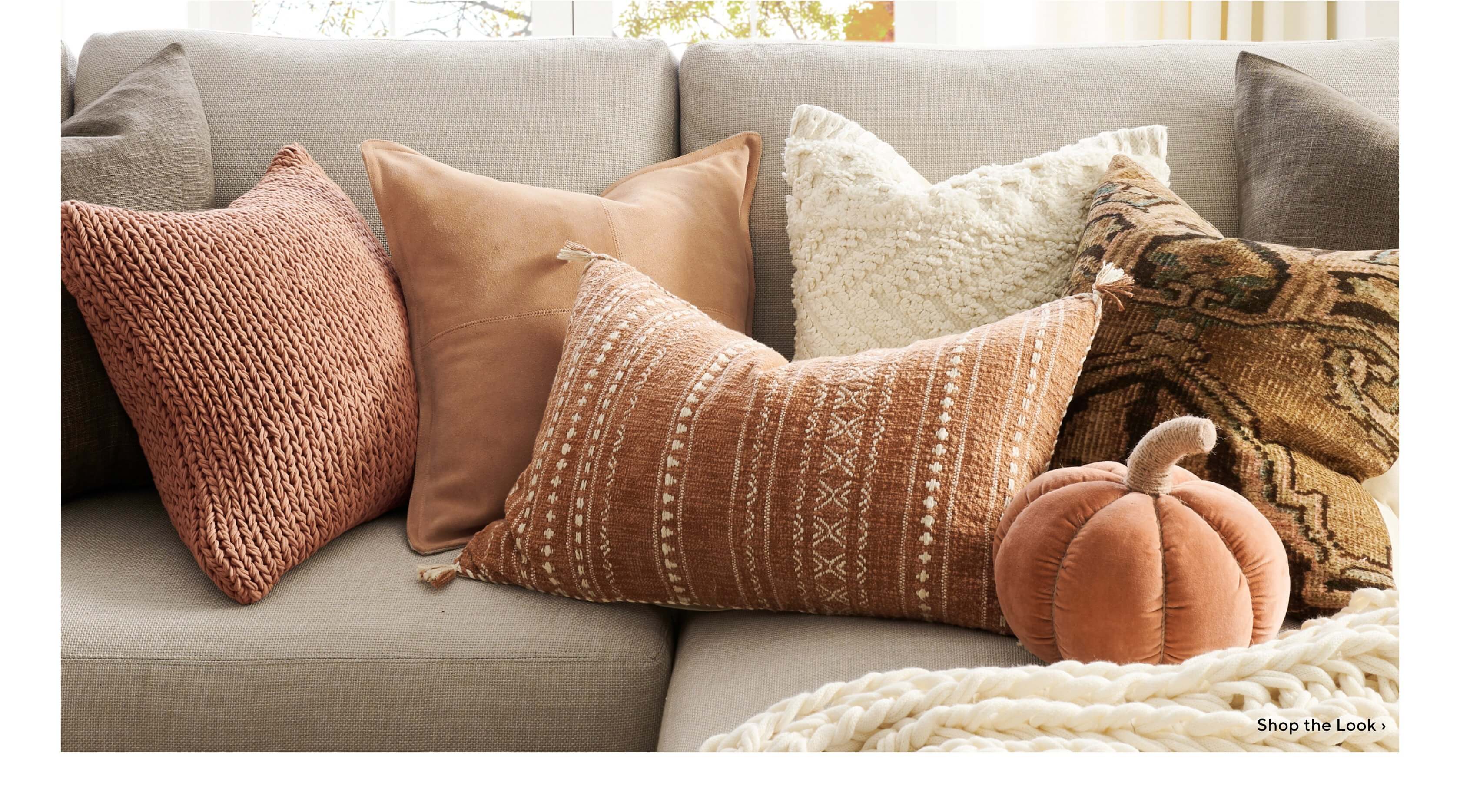 Shop Earthy Elegance Pillows