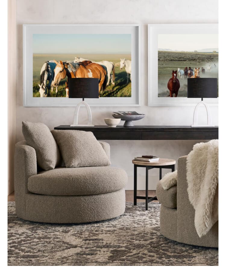 Shop Accent Chairs