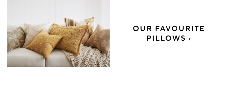 Shop Pillows