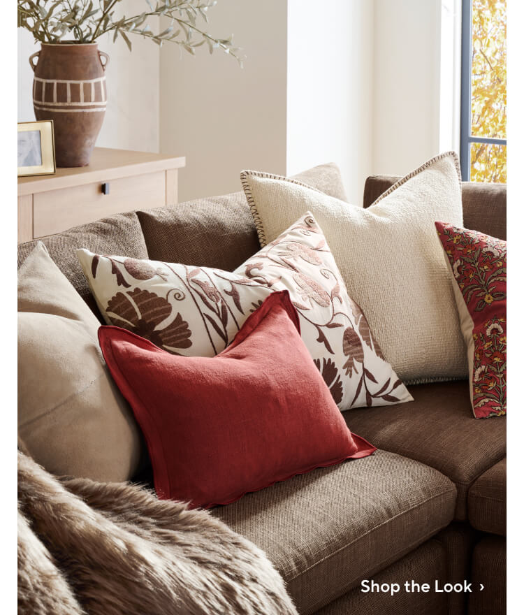 Shop Bold Red Pillows