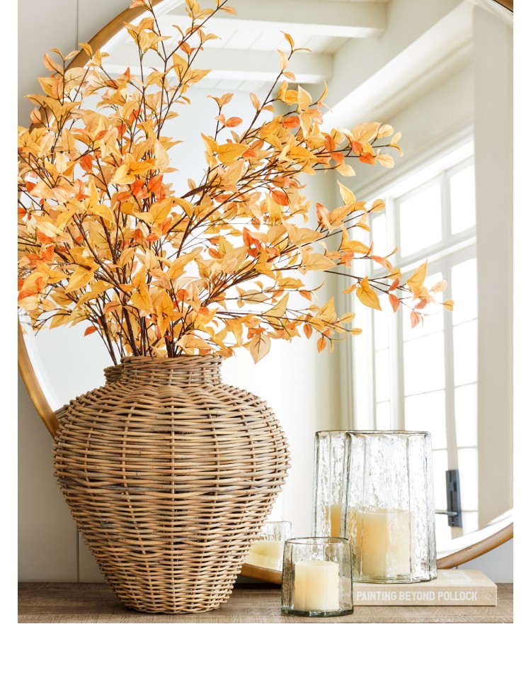 Shop Botanicals