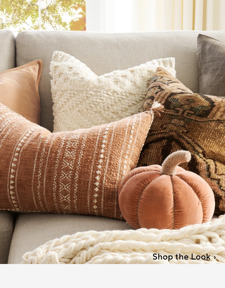 Shop Earthy Elegance Pillows