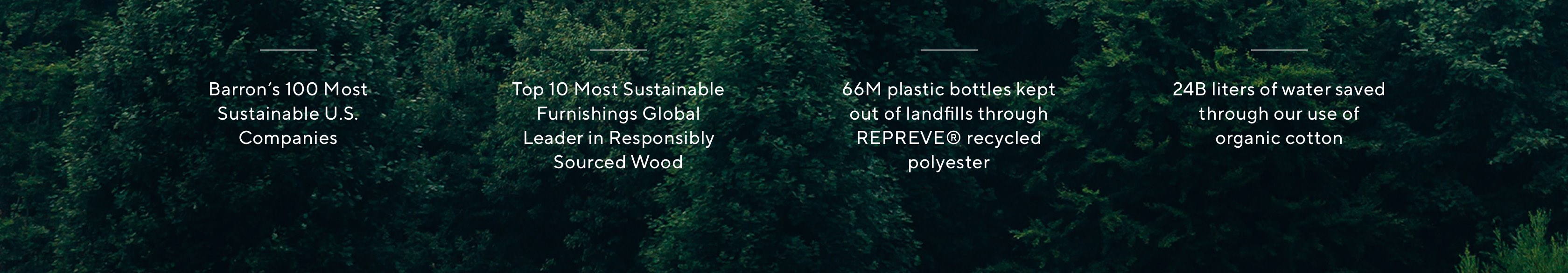 SEE OUR IMPACT SEE OUR IMPACT