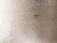 Silver Silver