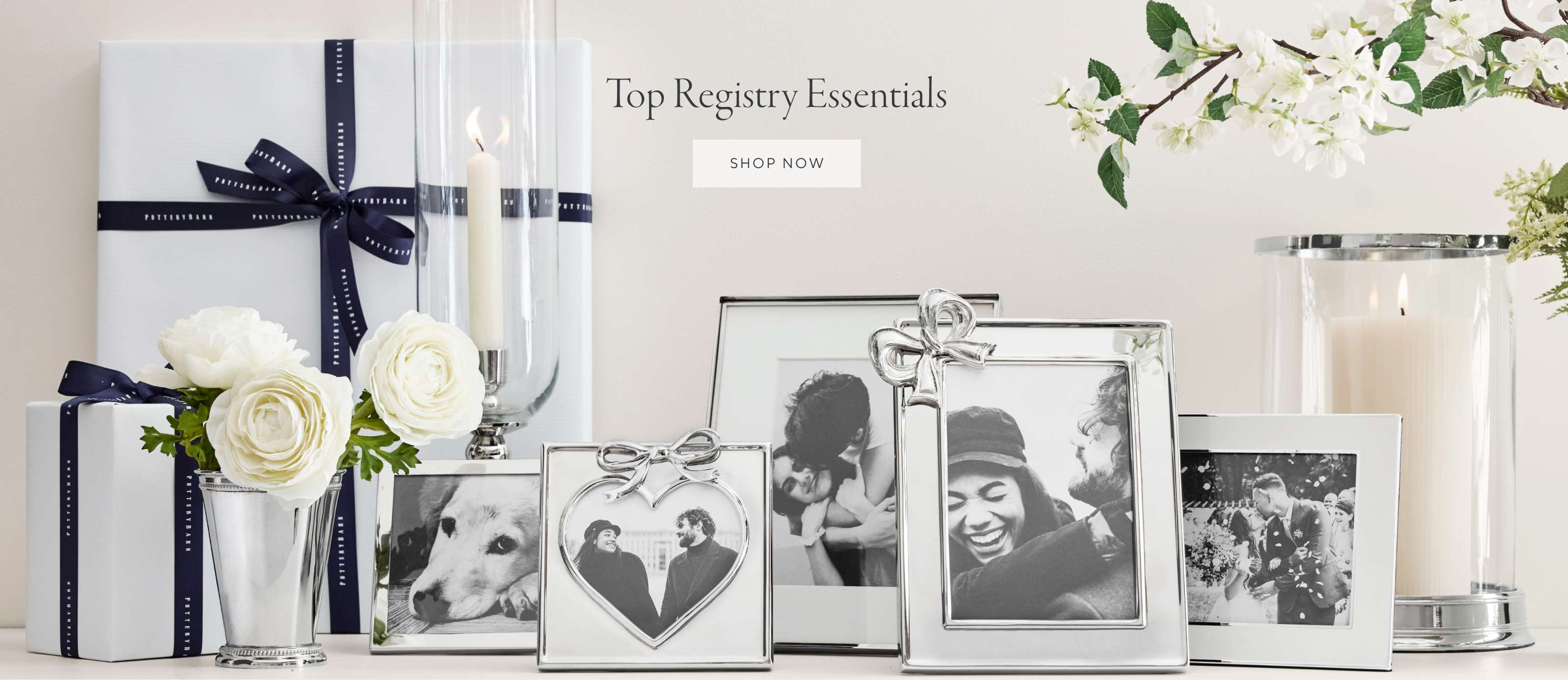 Top Registry Essentials