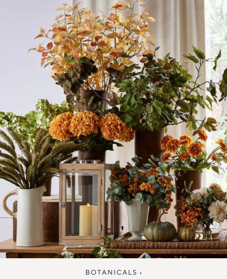 Botanicals