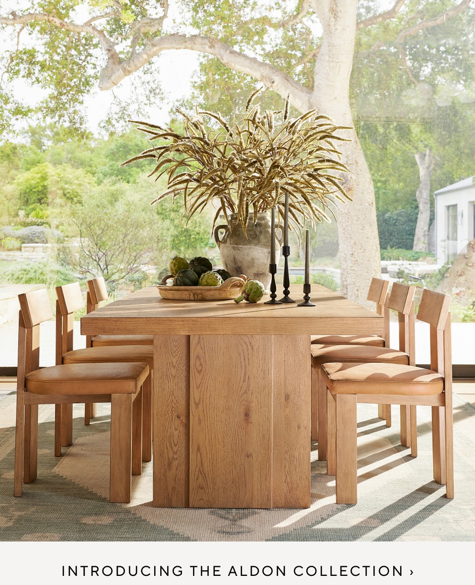 The Aldon Collection