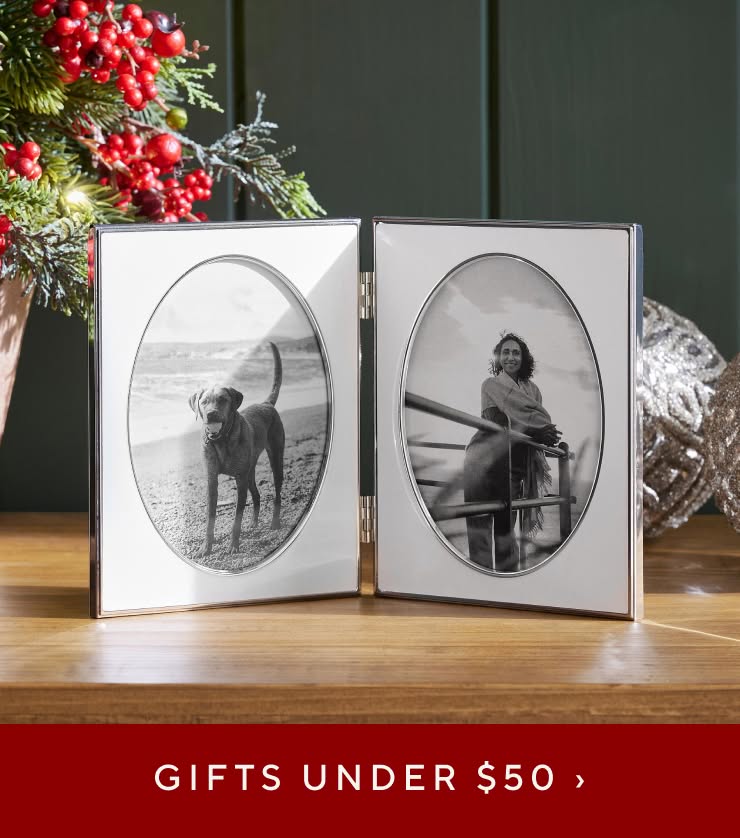 Gifts Under $50